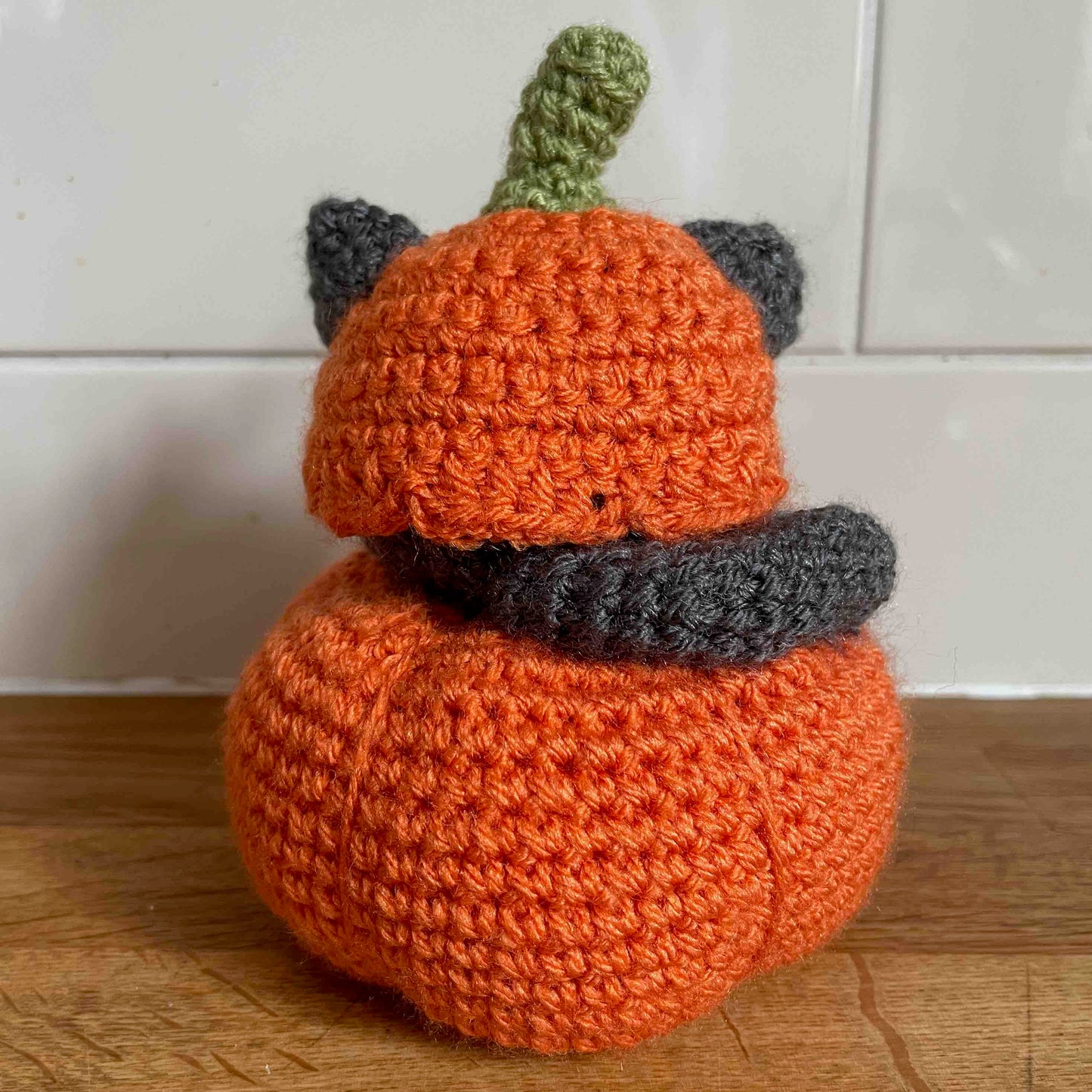 Cat In A Pumpkin Crochet Pattern (PDF Download)